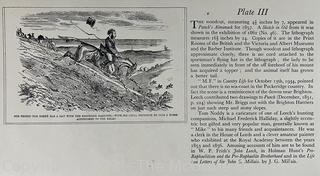 Loose Pages from book titled "The Noble Science - John Leech in the Hunting Field" by Thomas Bodkin. Published in London.  Descriptions of 14 Plates and Color Prints. 10 x 14" See the many photos posted in the photo gallery