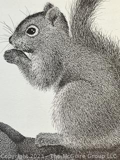 Framed Under Glass Print of Squirrel Signed by Artist Bruce Collins. 14" x 17".