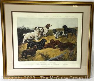 Framed Under Glass Color Print of Field Spaniels of the 20th Century by Arthur Wardle.  34" x 40"
