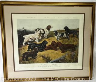 Framed Under Glass Color Print of Field Spaniels of the 20th Century by Arthur Wardle.  34" x 40"
