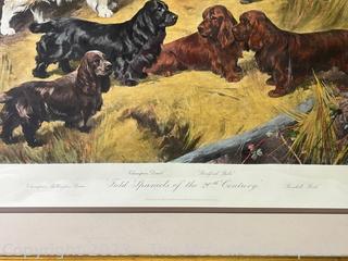 Framed Under Glass Color Print of Field Spaniels of the 20th Century by Arthur Wardle.  34" x 40"
