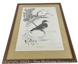 Framed Under Glass Signed and Numbered Print of Male Wood Duck by Gatewood Roddey.  22" x 29"