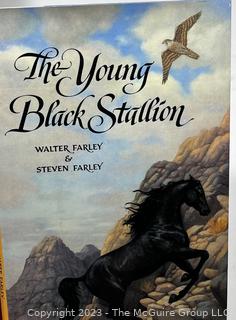 Collection of "The Black Stallion" by Walter Farley Hard Cover Books by Various Publishers