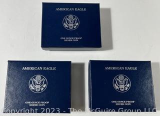 U.S. Mint 2007 American Eagle One Ounce Silver Proof Coin