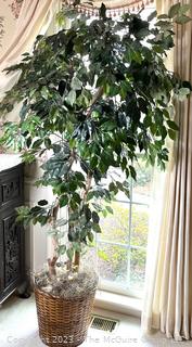 Faux Ficus Tree