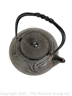 Cast Iron Dragonfly Teapot Nanbu, Iwate Prefecture in Japan, 5 x 5" with handle