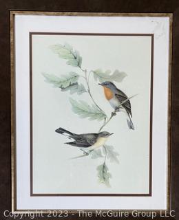 Framed Under Glass Color Lithograph of Birds.  19" x 23"