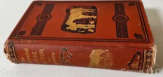 Book: "The Illustrated Horse Doctor" by Edward Mayhew 1880 Lippencott & Co. 