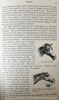 Book: "The Illustrated Horse Doctor" by Edward Mayhew 1880 Lippencott & Co. 