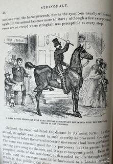 Book: "The Illustrated Horse Doctor" by Edward Mayhew 1880 Lippencott & Co. 