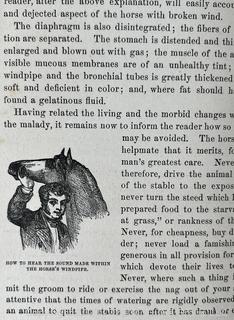 Book: "The Illustrated Horse Doctor" by Edward Mayhew 1880 Lippencott & Co. 