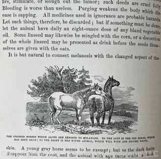 Book: "The Illustrated Horse Doctor" by Edward Mayhew 1880 Lippencott & Co. 