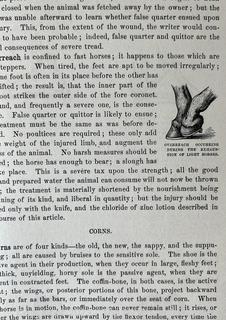 Book: "The Illustrated Horse Doctor" by Edward Mayhew 1880 Lippencott & Co. 