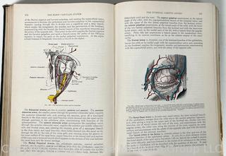 1953 Gray's Anatomy Human Surgery Illustrated Medicine Physician Henry Gray