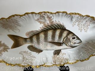 Antique Tressemann & Vogt Limoges Hand Painted Porcelain Fish Set with 12 Plates and a Platter.  One handle of platter has been damaged.  