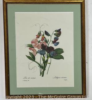 Framed Under Glass Color Botanical Lithograph. 13" x 15".