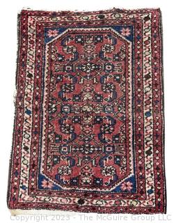 Hand Woven Wool Persian Area Rug on Red Ground.  32" x 24".