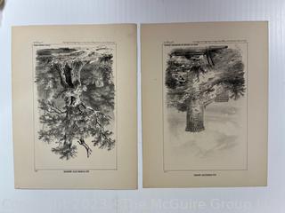 Two (2) Unframed Black & White Engravings
