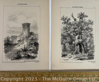 Two (2) Unframed Black & White Engravings
