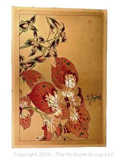 Japanese Woodblock Print of Orchid on Paper.  12" x 17"