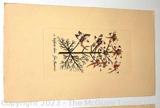 Two (2) Color Lithographs of Flowers.  8" x 13"