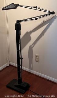 Contemporary Black Metal Articulated Floor Lamp