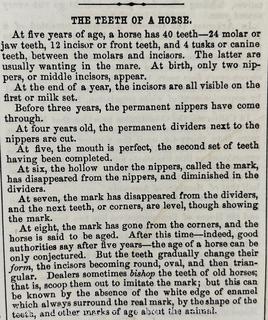 The Union Hand-book and Family Diary 1869