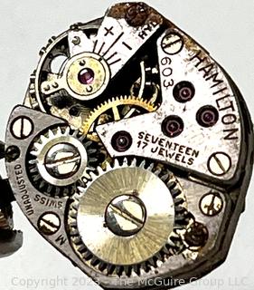 Grouping of Wristwatch Movements