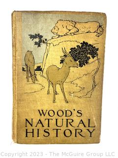 Wood's Illustrated Natural History by Rev JG Wood