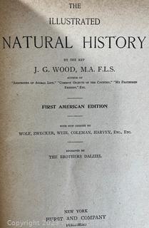 Wood's Illustrated Natural History by Rev JG Wood