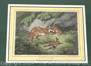 Republished Lithograph of Bitch-Fox & Cubs by Edw. J. Orme, Bond St. London 1812 Measures 11 x 13"