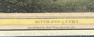 Republished Lithograph of Bitch-Fox & Cubs by Edw. J. Orme, Bond St. London 1812 Measures 11 x 13"