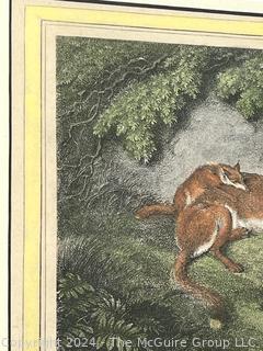 Republished Lithograph of Bitch-Fox & Cubs by Edw. J. Orme, Bond St. London 1812 Measures 11 x 13"