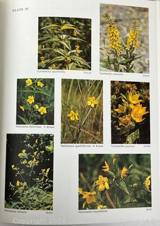 Wildflowers of the United States by Harold William Rickett 