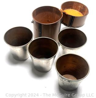 Set of Four Shot Glasses in Carrying Case.