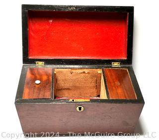 English Regency Mahogany Sarcophagus Tea Caddy Box