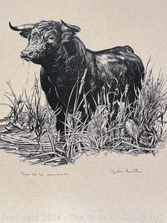 Framed Under Glass Lithograph Titled "Toro de la Marisma" by Artist John Fulton. 24 x 25"