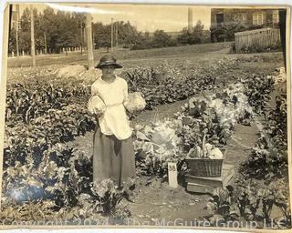 Collection of Fifteen (15+) Large 8 x 10" Glass Negatives plus Several Black and White Photos.  See all Images in the Gallery