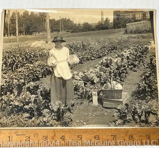 Collection of Fifteen (15+) Large 8 x 10" Glass Negatives plus Several Black and White Photos.  See all Images in the Gallery