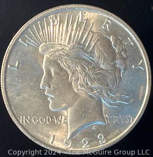 1923-(P) Liberty Head Silver Dollar Coin 