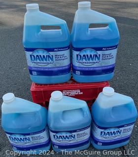 Five (5) One-Gallon Bottles of Dawn Professional Grade Cleaning Soap