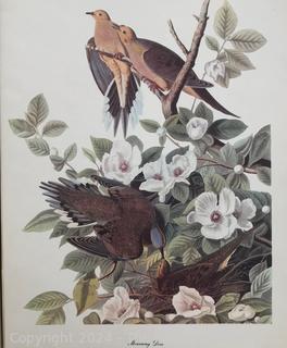 (42) Folio of Plates - Audubon Birds of America Fifty Selections w/ Commentaries By Roger Tory Peterson (1950) and The New Yorker Cartoons 