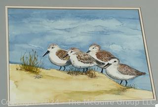 Framed Under Glass Watercolor of Sea Birds. 18" x 22" 