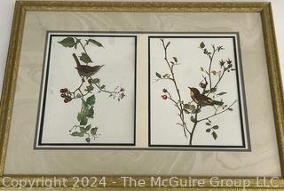 Framed Under Glass Pair of Watercolors of Birds on Branches Signed by Falls Church Artist Mildred Kemp.  24" x 33"