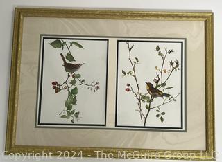 Framed Under Glass Pair of Watercolors of Birds on Branches Signed by Falls Church Artist Mildred Kemp.  24" x 33"