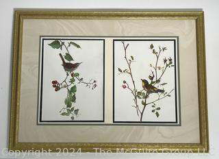 Framed Under Glass Pair of Watercolors of Birds on Branches Signed by Falls Church Artist Mildred Kemp.  24" x 33"