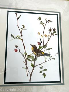 Framed Under Glass Pair of Watercolors of Birds on Branches Signed by Falls Church Artist Mildred Kemp.  24" x 33"