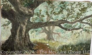 Stretcher Framed Oil on Canvas of Tree Signed by Artist Mildred Kemp.  24 x 40"