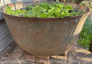 Cast Iron Cauldron Kettle With Handle Used as Planter. 25" Diameter