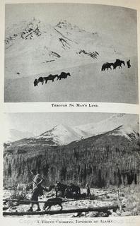 Thirteen (13) Books, Including The Adventures Of Tom Sawyer, "Falcon, Fly Back" By Blaisdell, Plants In Winter By Mizumura, Nursery Friends From France By Olive Beaupre Miller, Last Of The Great Scouts Buffalo Bill By Wetmore & Zane Grey, Wild Grizzlies Of Alaska By Holzworth 